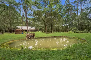 16338 Grand Flower Rd, Plantersville, TX 77363 - Photo 11