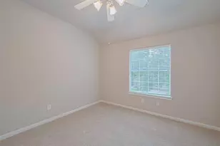 23 Red Adler Pl, The Woodlands, TX 77382 - Photo 39