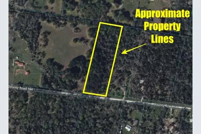 2699 County Road 144, Bedias, TX 77831 - Photo 5