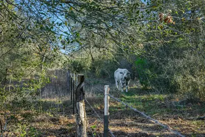 1746 County Road 103, Columbus, TX 78934 - Photo 9