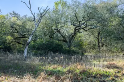 1746 County Road 103, Columbus, TX 78934 - Photo 7