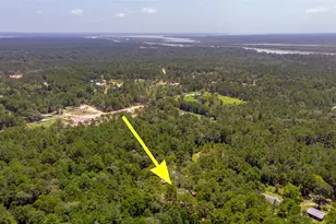 250 Red Bird Ln, Trinity, TX 75862 - Photo 47