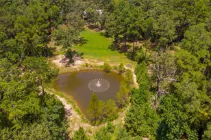 250 Red Bird Ln, Trinity, TX 75862 - Photo 47