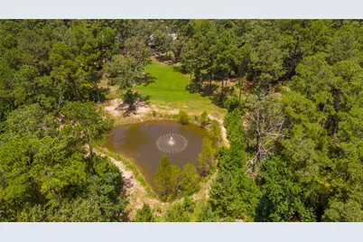250 Red Bird Lane, Trinity, TX 75862 - Photo 49