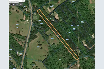 Tbd Cr 1655, Grapeland, TX 75844 - Photo 1