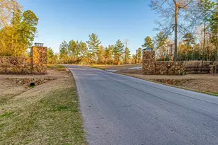 10915 Ruger Rd, Willis, TX 77378 - Photo 47