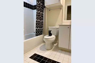 823 Robin Street, Houston, TX 77019 - Photo 15