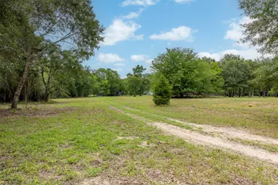 00 Ives Creek Road, Bellville, TX 77418 - Photo 5