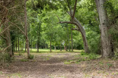 00 Ives Creek Road, Bellville, TX 77418 - Photo 3
