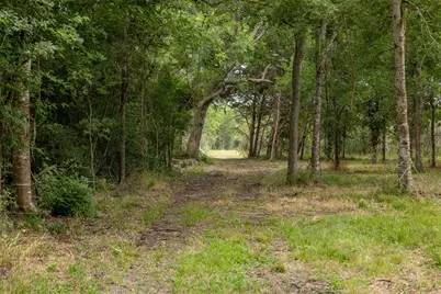 00 Ives Creek Road, Bellville, TX 77418 - Photo 11