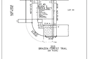 203 Brazen Frst Trl, Magnolia, TX 77354 - Photo 23