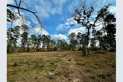 15238 Crape Myrtle Lane, Navasota, TX 77868 - Photo 5