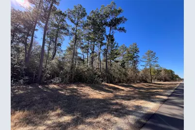 86 Coyote Run, Willis, TX 77378 - Photo 1
