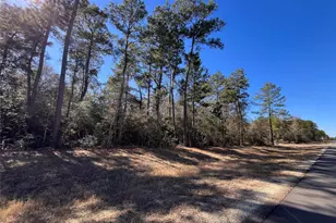 86 Coyote Run, Willis, TX 77378 - Photo 1