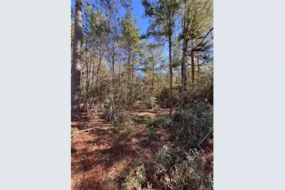 86 Coyote Run, Willis, TX 77378 - Photo 23
