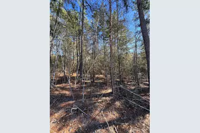 86 Coyote Run, Willis, TX 77378 - Photo 13