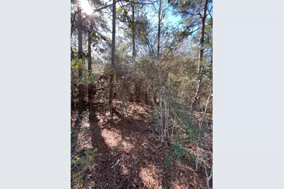 86 Coyote Run, Willis, TX 77378 - Photo 15