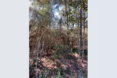 86 Coyote Run, Willis, TX 77378 - Photo 19