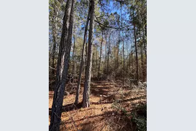 86 Coyote Run, Willis, TX 77378 - Photo 21