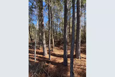 86 Coyote Run, Willis, TX 77378 - Photo 11