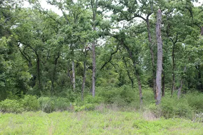 Tract 174 Pr 1311, Centerville, TX 75833 - Photo 15