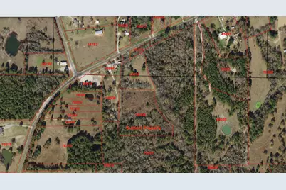 Tbd Fm 1791, Huntsville, TX 77340 - Photo 5