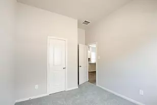 1435 Cecilia Vines Dr, Conroe, TX 77301 - Photo 15