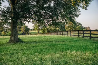 8321 Equestrian Lane, Washington, TX 77880 - Photo 5