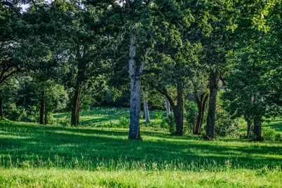 8321 Equestrian Lane, Washington, TX 77880 - Photo 23