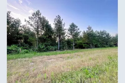 15705 Ridge Rock Road, Willis, TX 77378 - Photo 7