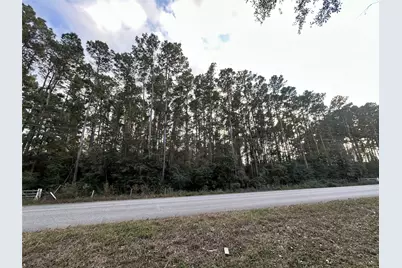 28655 Joseph Road, Hockley, TX 77447 - Photo 3