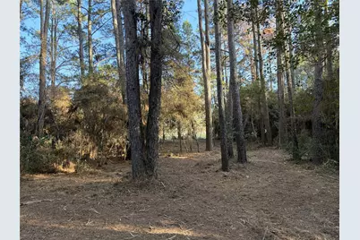 28655 Joseph Road, Hockley, TX 77447 - Photo 11