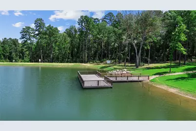 135 Hollow Hill Drive, New Waverly, TX 77358 - Photo 7
