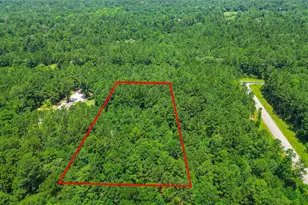 Tbd Remington Rd, Huntsville, TX 77340 - Photo 1
