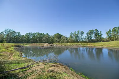 1275 Castlewood Road, Livingston, TX 77351 - Photo 13
