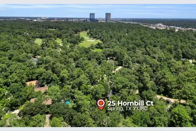 25 Hornbill Court, The Woodlands, TX 77380 - Photo 3