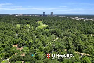 25 Hornbill Ct, The Woodlands, TX 77380 - Photo 3