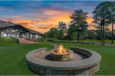 177 Sugarberry, Brookeland, TX 75931 - Photo 3