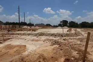 16806 Burr Oak Colony St, Hockley, TX 77447 - Photo 7