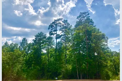 3B-13-11 Saddle Ridge, Huntsville, TX 77340 - Photo 23