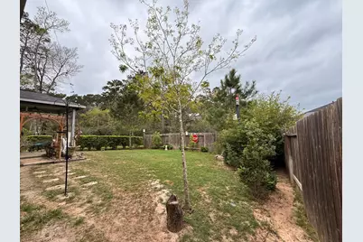 40654 Goldeneye Place, Magnolia, TX 77354 - Photo 9