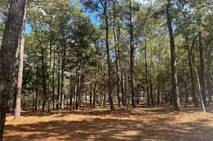 751 Red Hollow, Leggett, TX 77350 - Photo 1