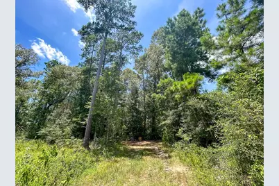 751 Red Hollow, Leggett, TX 77350 - Photo 5