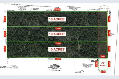 751 Red Hollow, Leggett, TX 77350 - Photo 7