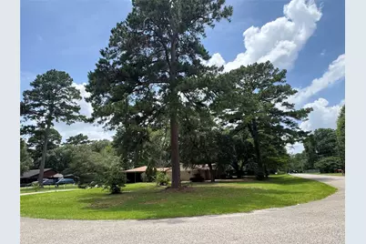 30819 Meadow Wood Drive, Magnolia, TX 77354 - Photo 3