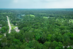 12028 Cedar Ln, Conroe, TX 77303 - Photo 41