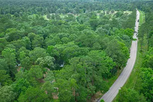 12028 Cedar Ln, Conroe, TX 77303 - Photo 39