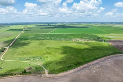 0 Cr 285, Lissie, TX 77454 - Photo 13