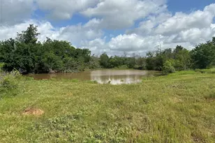 Tbd County Road 707, Kosse, TX 76653 - Photo 7