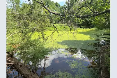 Tbd County Road 707, Kosse, TX 76653 - Photo 5